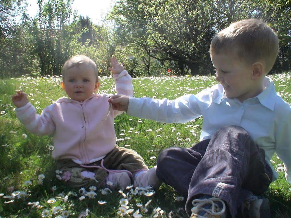 Aurelius Pension Baden Kültér fotó