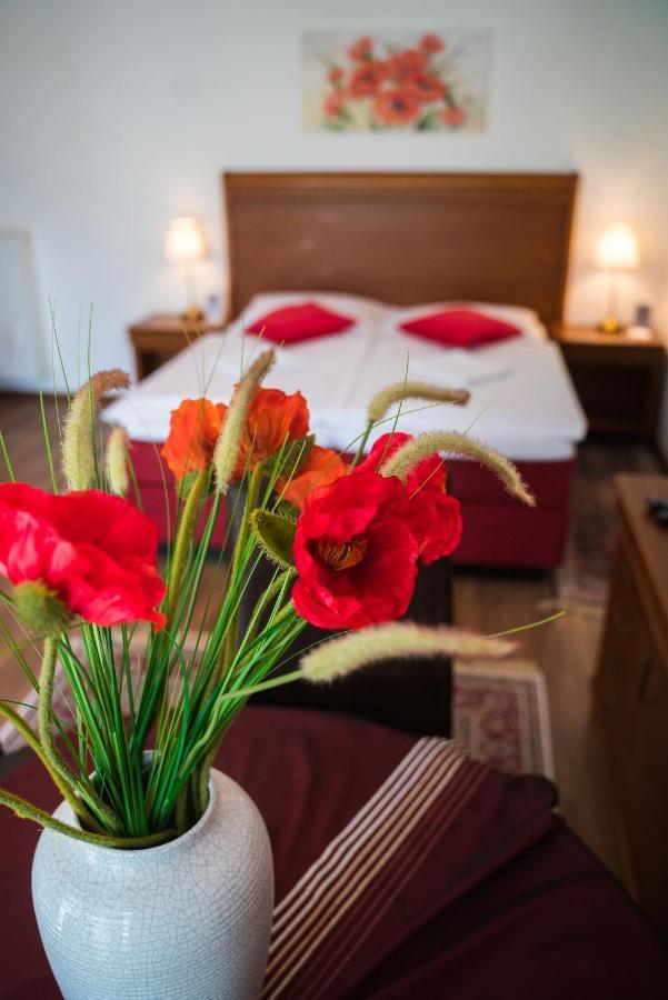 Aurelius Pension Baden Kültér fotó